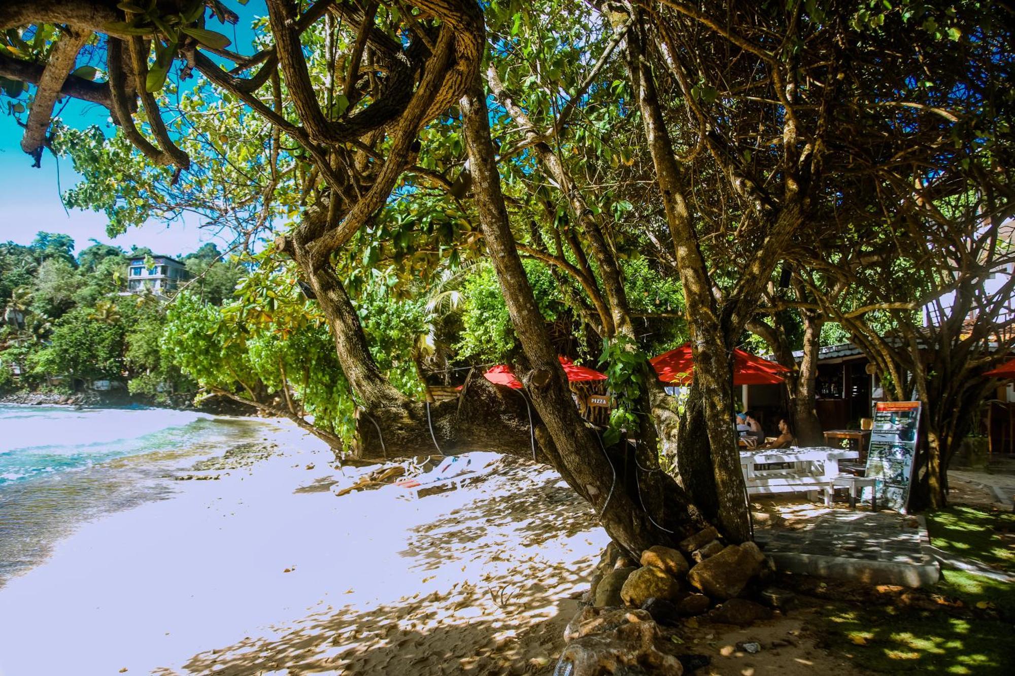 Hotel Surf Sea Breeze Mirissa Exterior foto